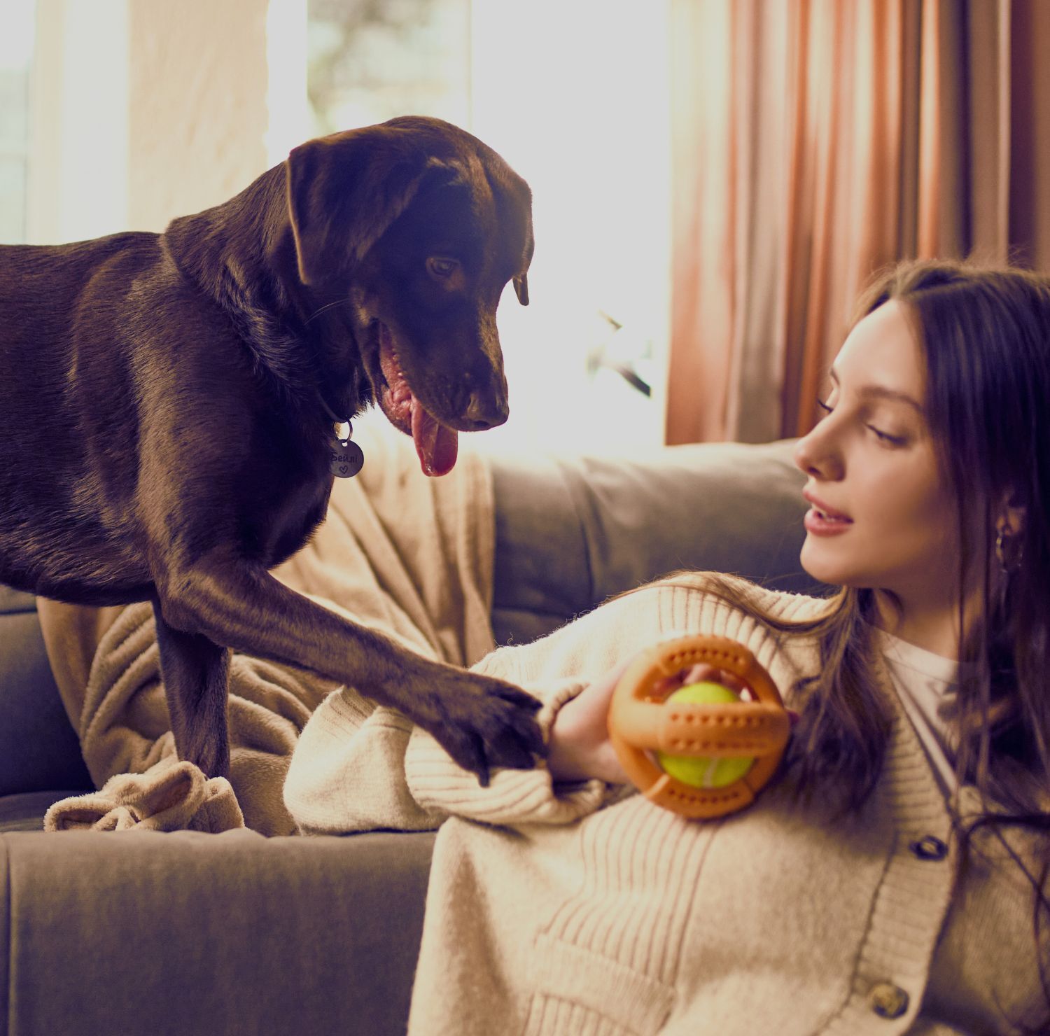 Celebrating your four-legged family