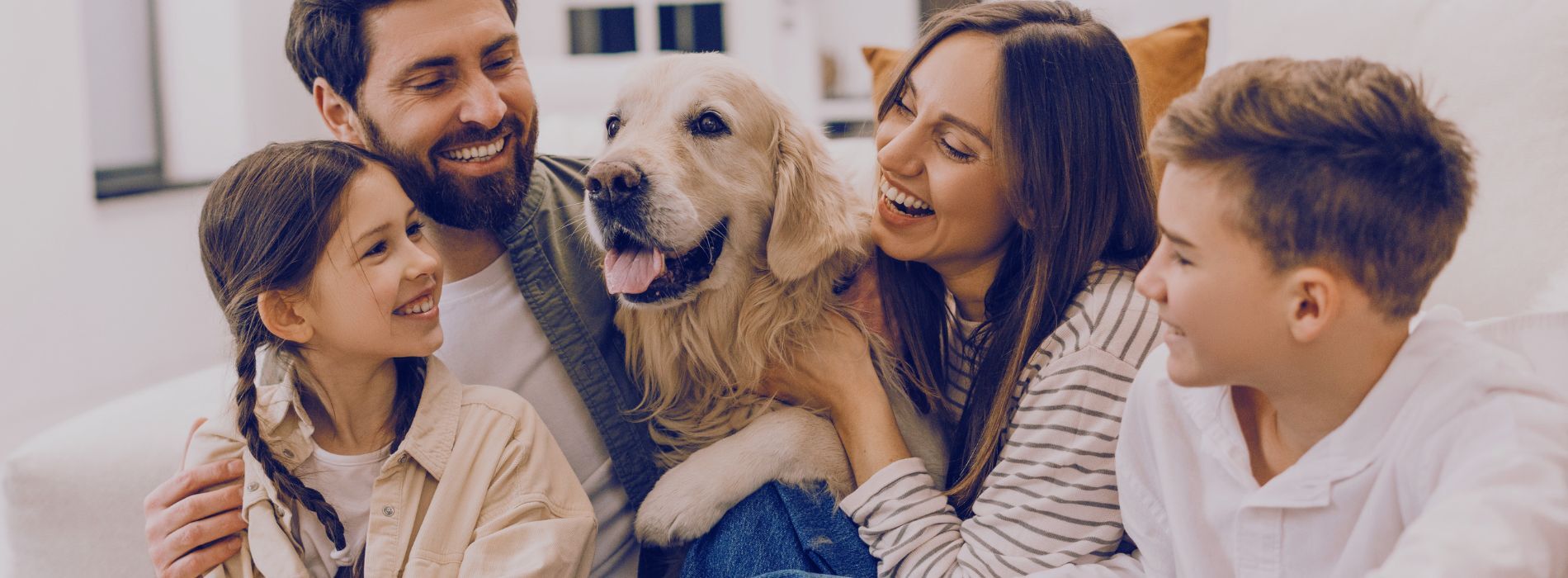 Where pet care supports the community