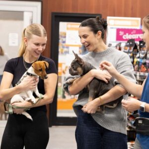 Petstock