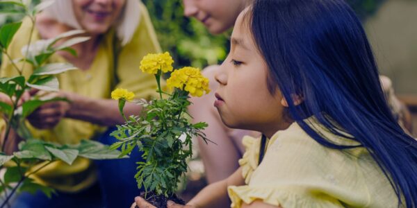 Follow the Nature Trail these school holidays