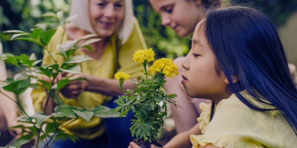 Follow the Nature Trail these school holidays